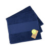 French Navy
